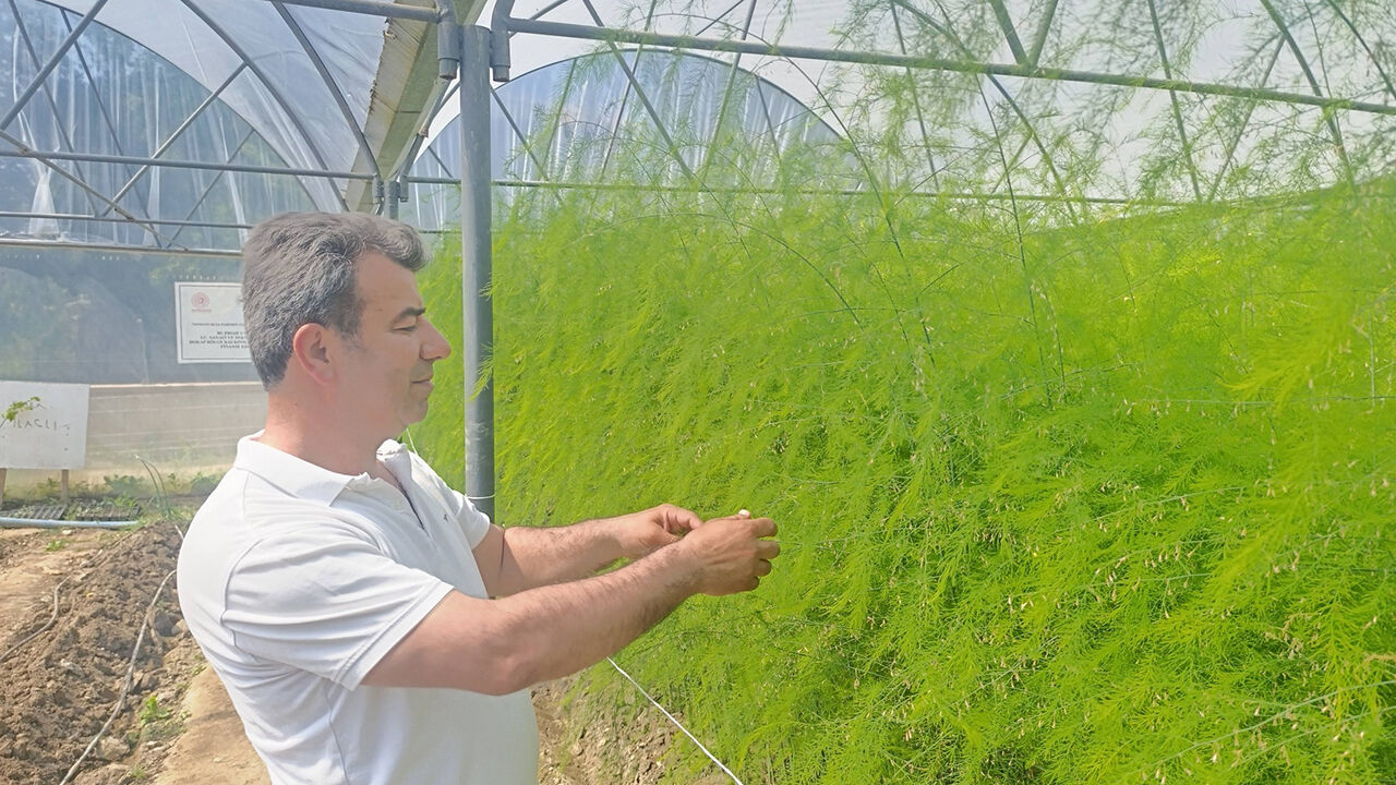 684200553 1562711719193749 8786365557149812078 N