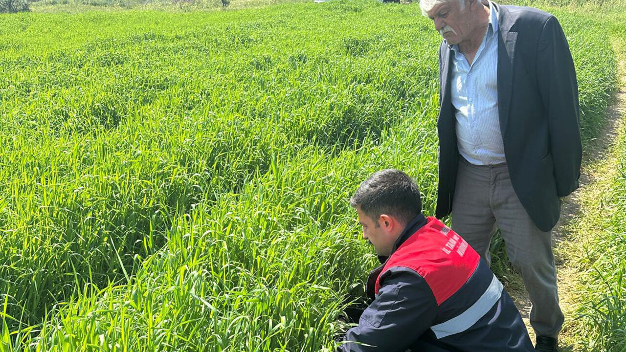 684678832 122232148550108366 6269006759928422777 N