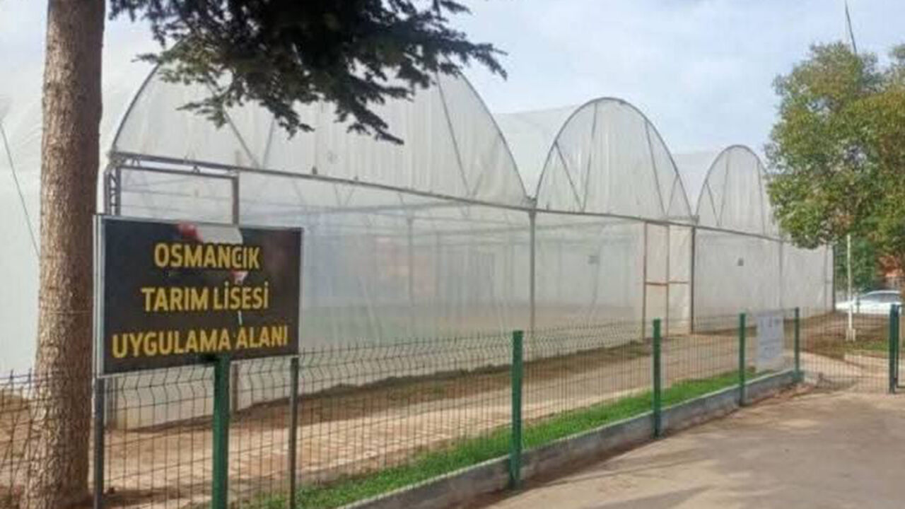 685699224 1562711849193736 2385976751594184950 N