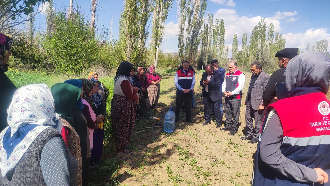 685833904 122232071576108366 1432394456307168616 N