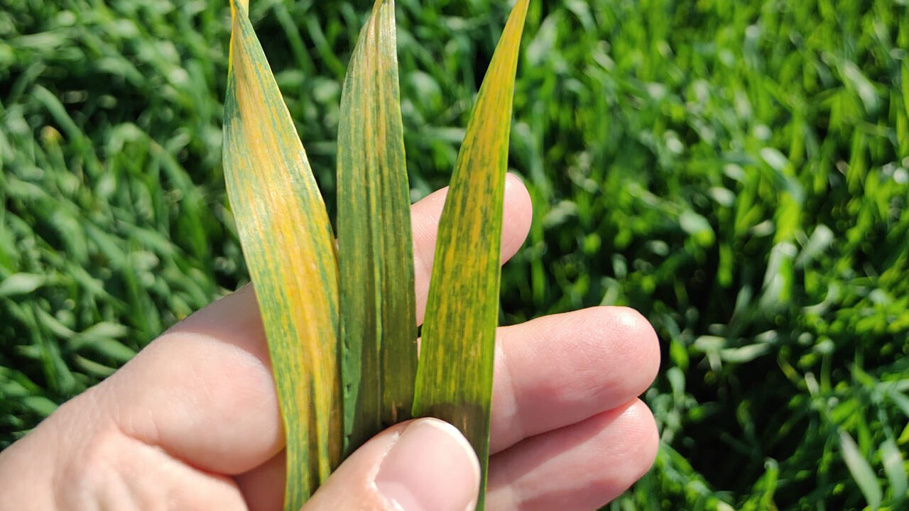 686009339 122232236834108366 5715022856492116508 N