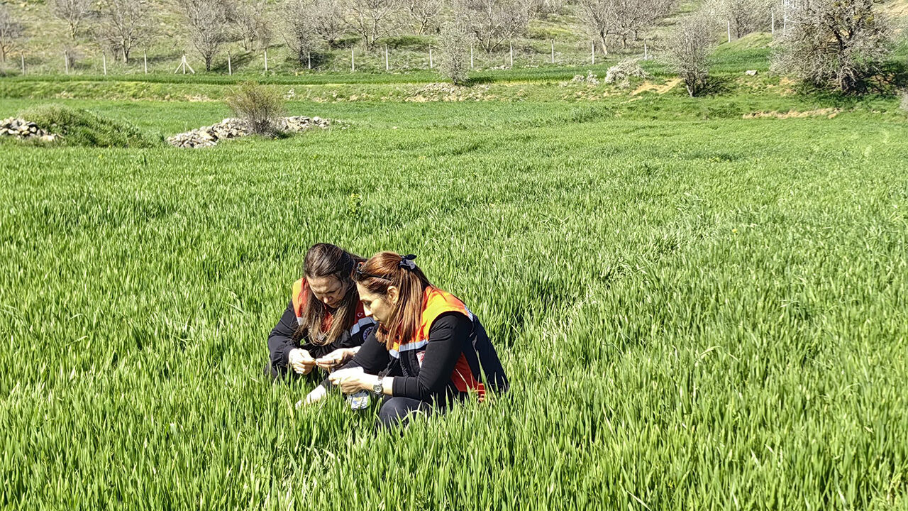 686009962 122232157334108366 3999362782918390036 N