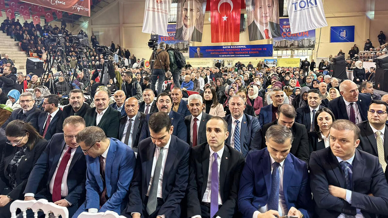 Alacabakangursoy (3)