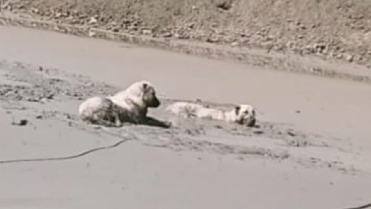 Ekran Alıntısı-185