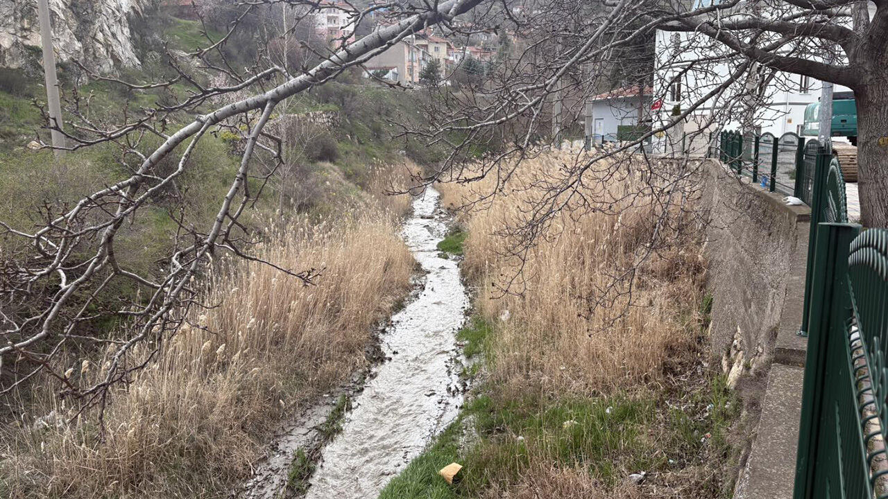 Iskiliptemizlik (1)