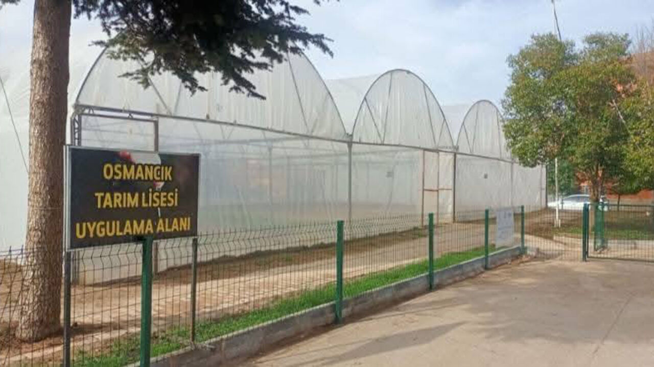 Kuskonmazosmancık (4)