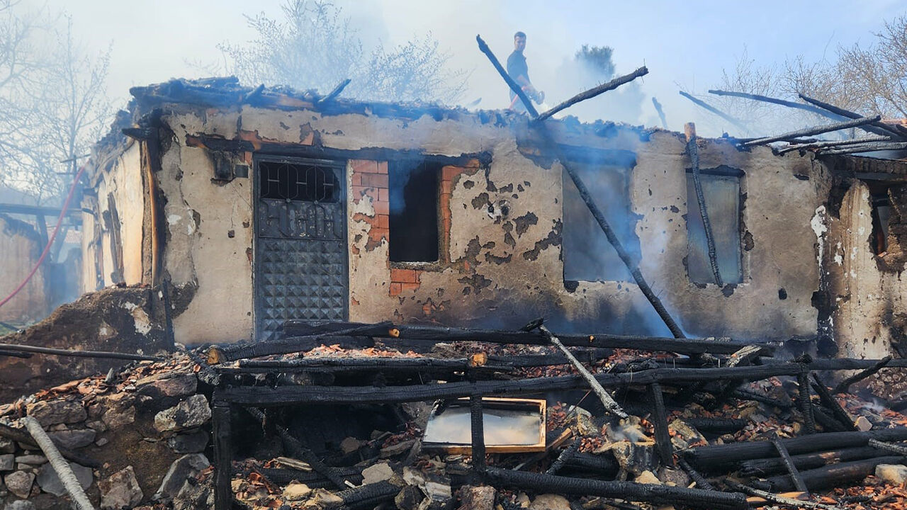 Metrukevyangını (2)