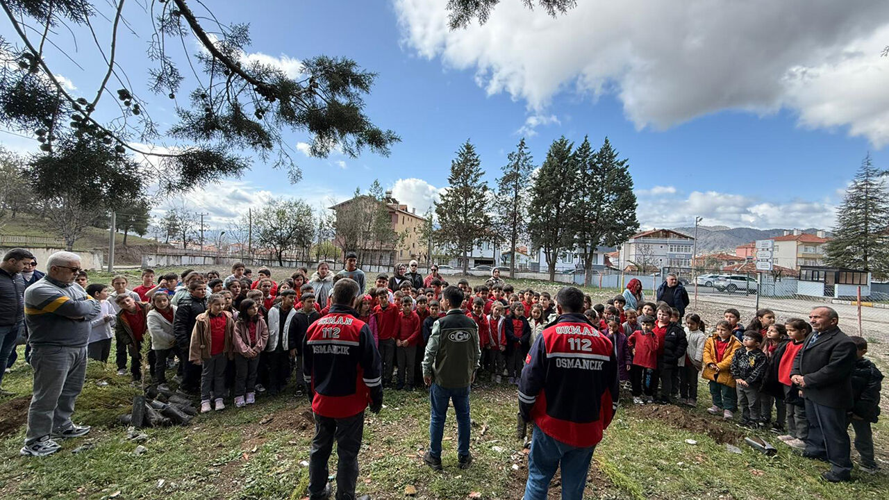 Osmancıkorman (1)