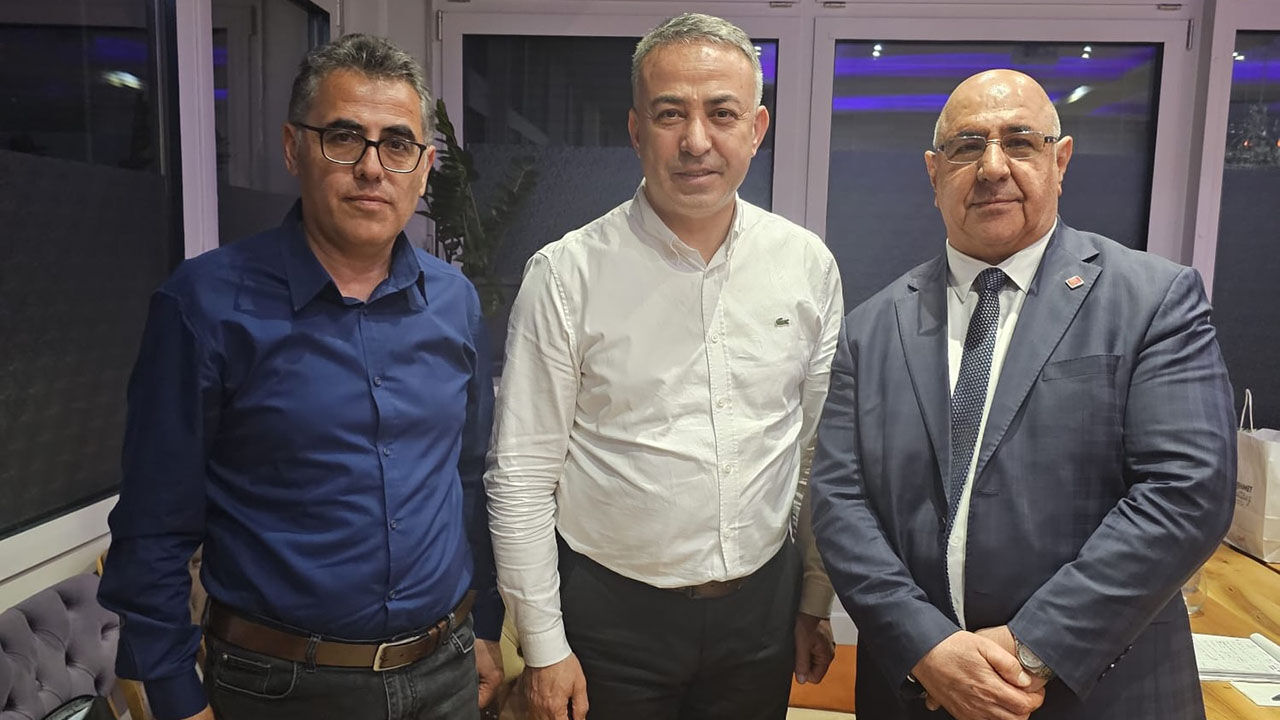 Tahtasızisvicre (2)