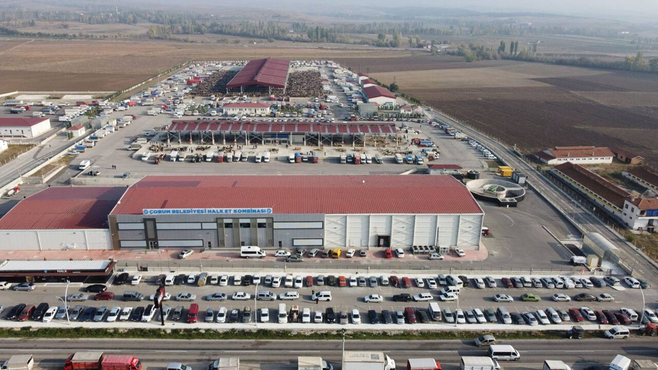 Hayvanpazarı (2)-1