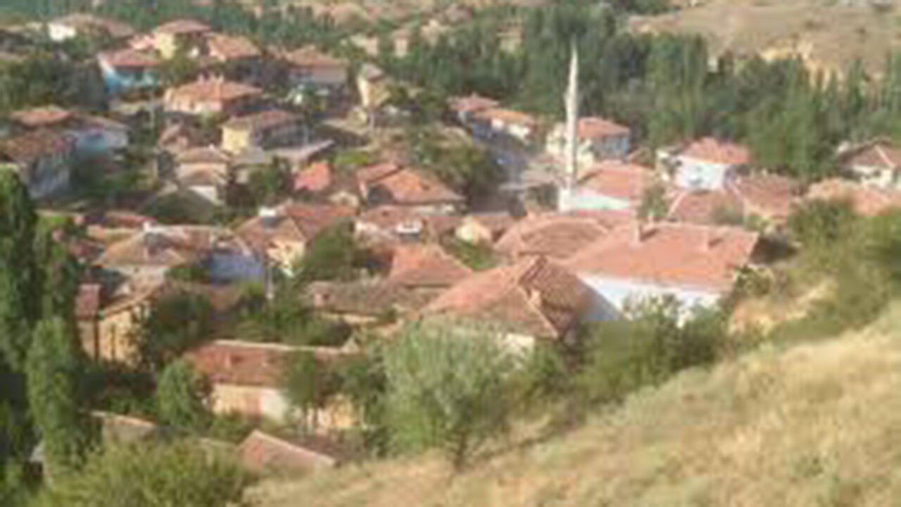 Images (1)-11