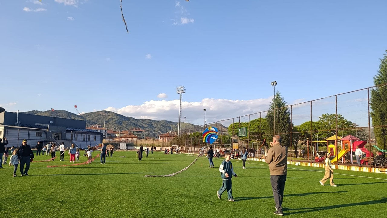 Osmancıksenlik (2)-1