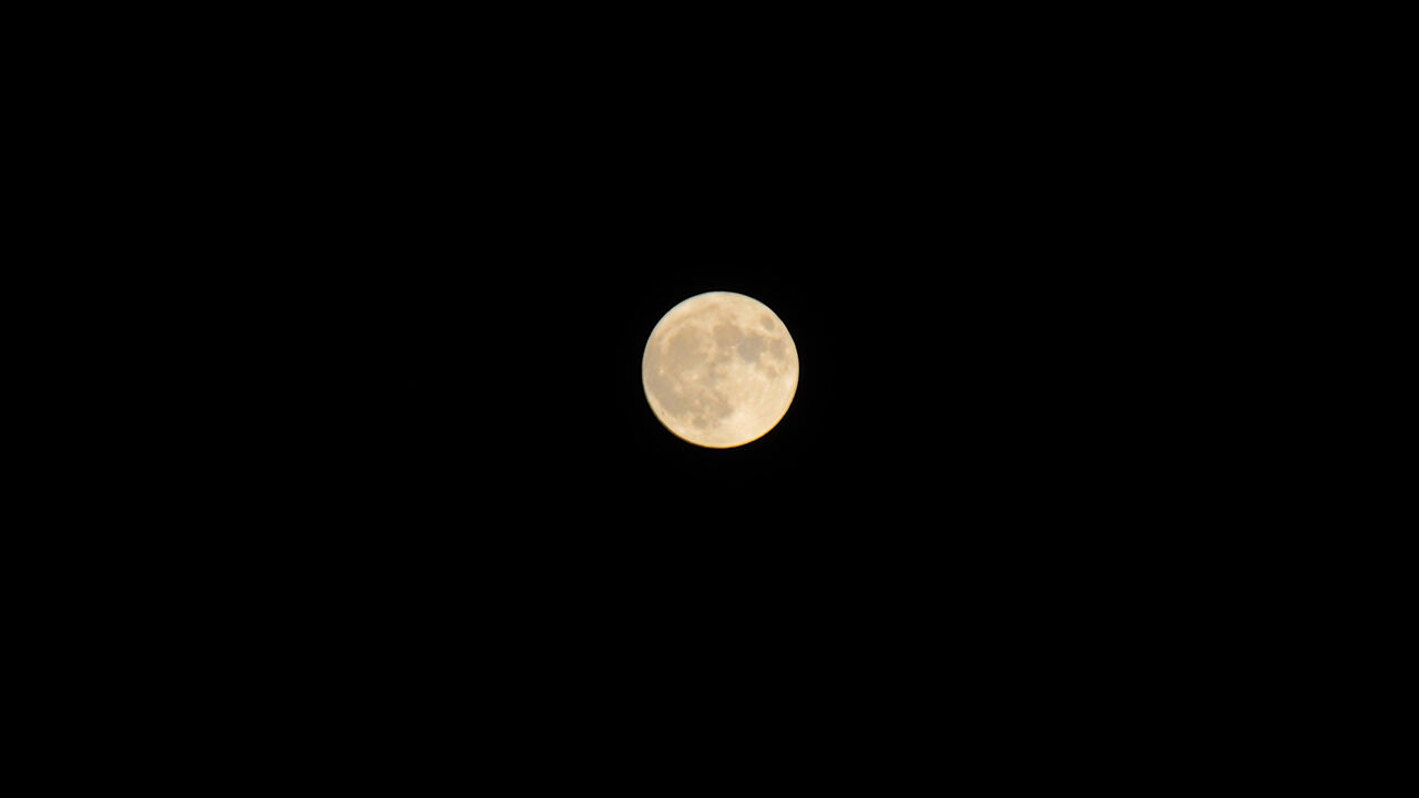 A W736541 03
