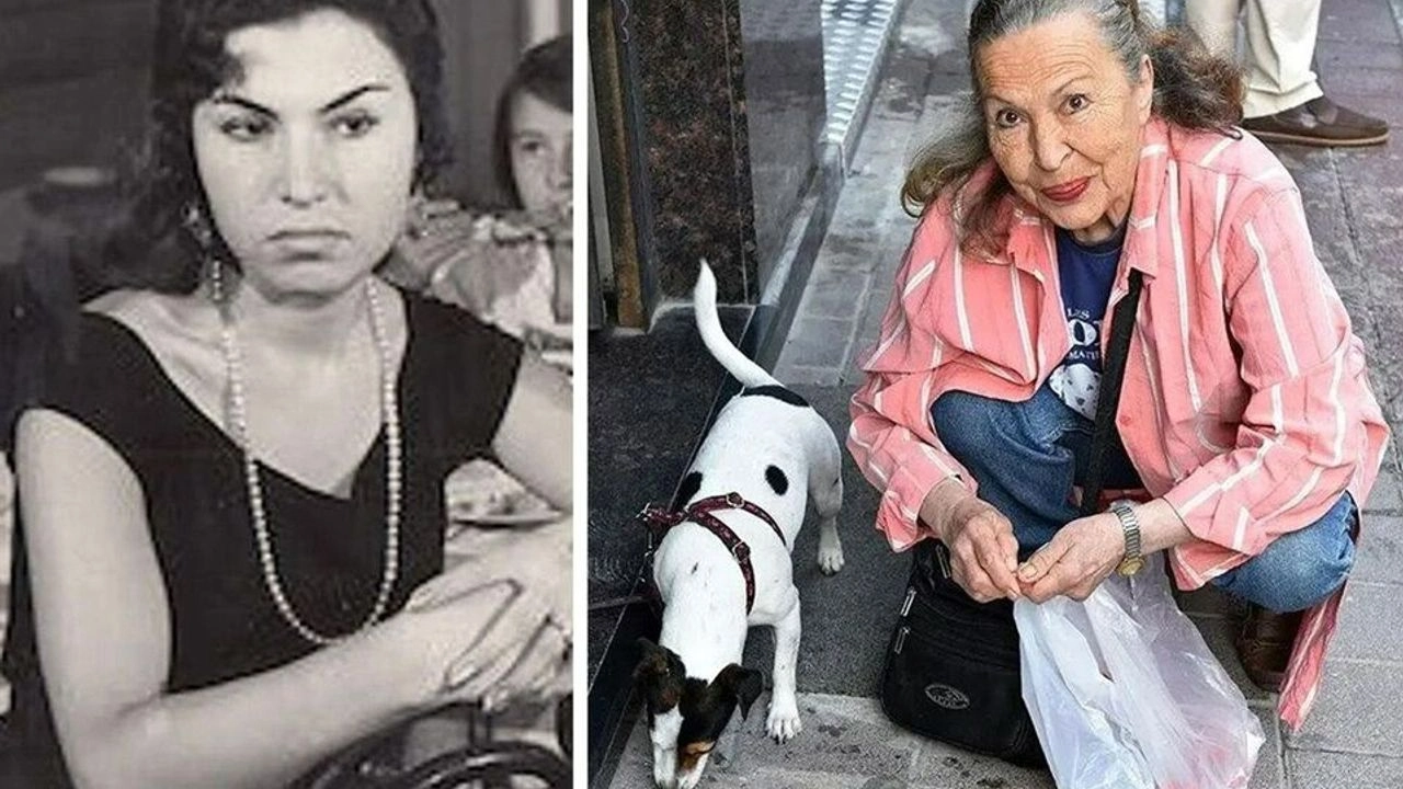 Hayvan Hakları Savunucusu Panter Emel Hayatını Kaybetti Yeşilçam Ve Hayvanseverler Yasta 3