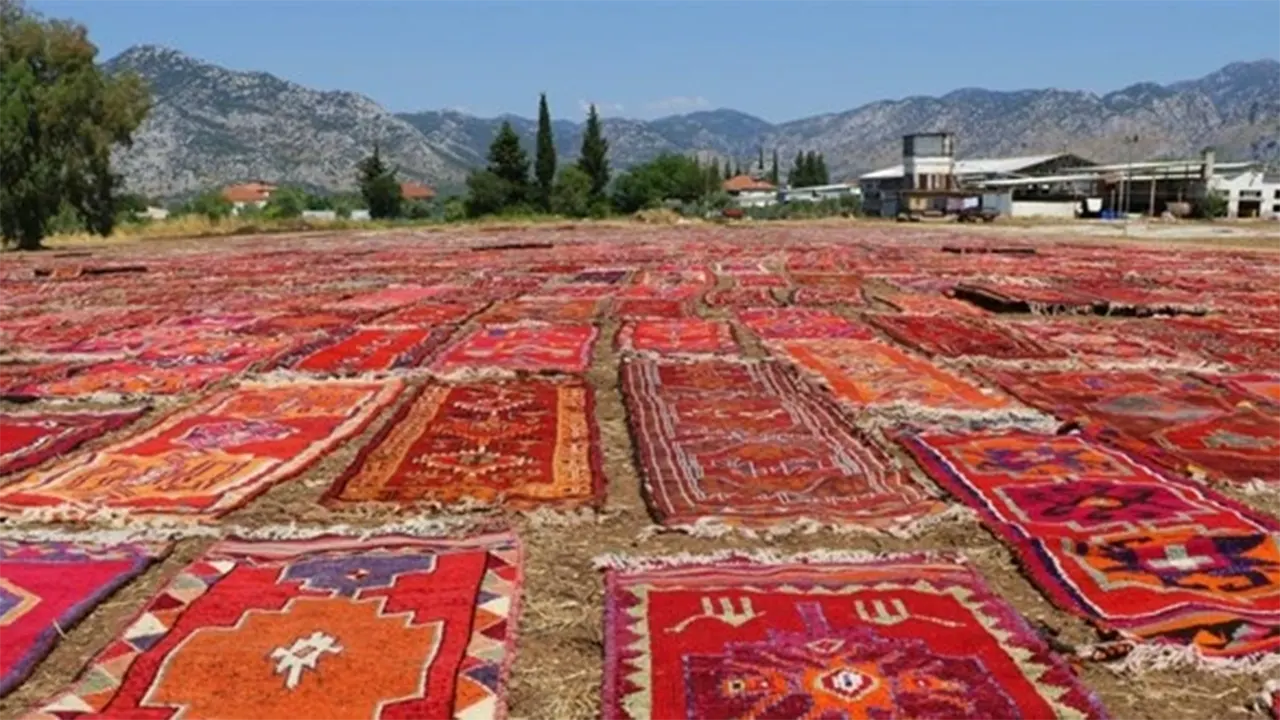Yüzlerce Yıllık Halılar Buğday Tarlalarını Renk Cümbüşüne Çevirdi 2