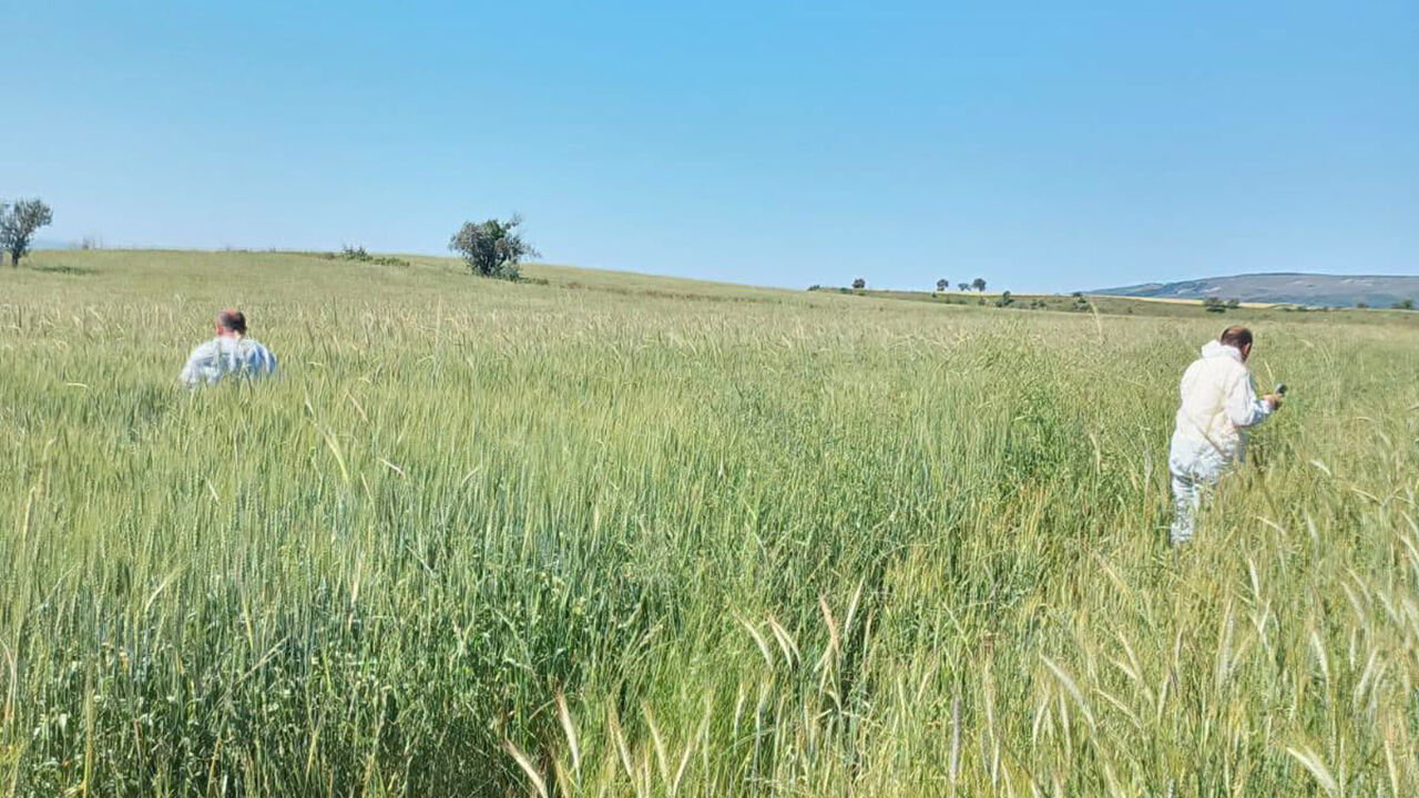 734767861 2004169790458774 2833398284852441290 N