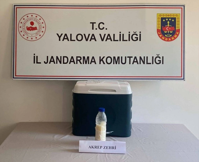 Suriye’den Getirilen Şişeden Servet Çıktı Değeri 5 Milyon Dolar 2