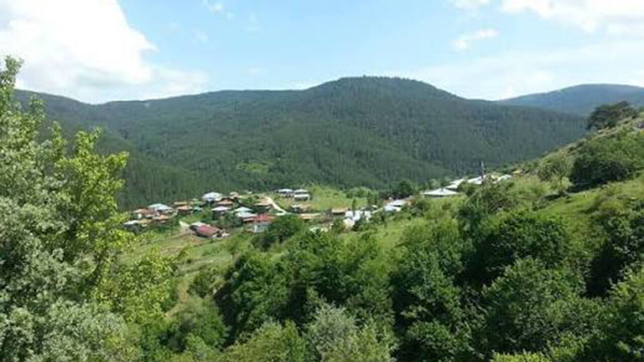 Images-46
