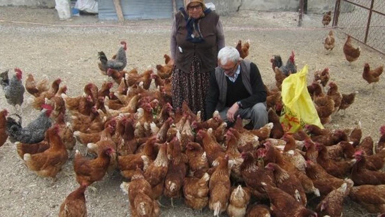 Orkoy Kredileri Orman Koylusune Can Suyu Oluyor H7269 1811E