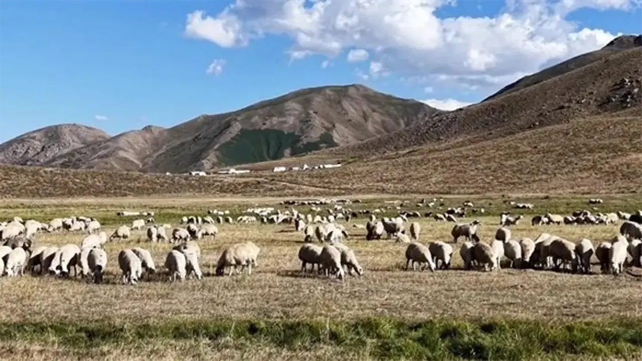 Aylık 150 Bin Tl Net Maaş! Şartları Duyan Inanamıyor Ama Çalışacak Kimse Bulunamıyor 2