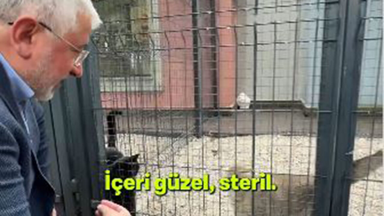 Ekran Alıntısı-246