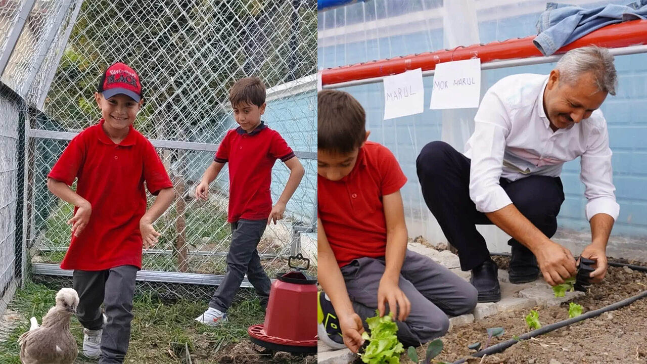 Osmancıkfidan1