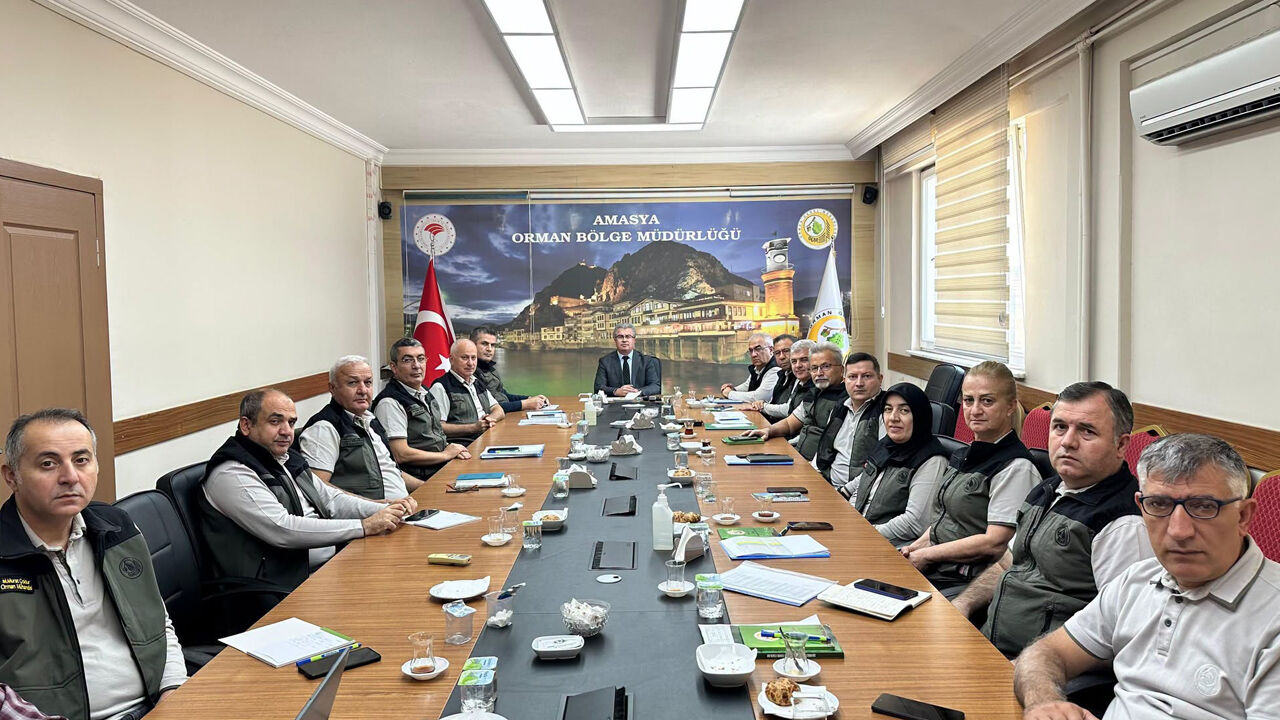 843672175 1458294722835730 2045171945397456681 N Copy