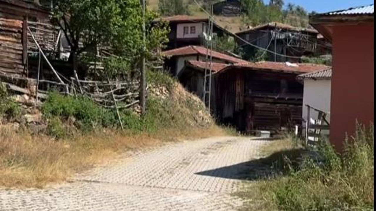Ekran Alıntısıztrn Copy